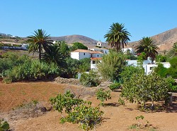 Na některých místech Fuerteventury jsou vesničky zelené a obklopené palmami