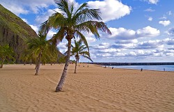 Krásná písečná pláž na Tenerife